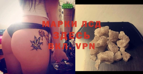 мяу мяу мука Михайлов