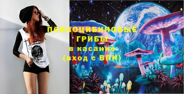 дурь Алексеевка