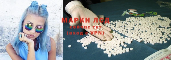 мяу мяу мука Михайлов